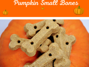 Pumpkin Small boanes dog treats