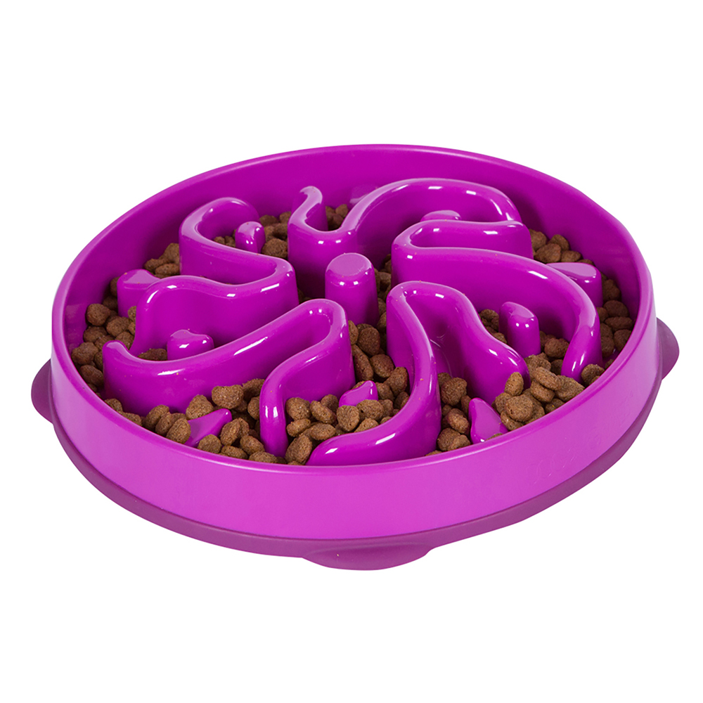 https://thefairydogparents.com/wp-content/uploads/2020/11/Fun-Feeder-Slo-Bowl-Slow-Feed-Dog-Bowl-Purple-large.jpg