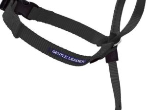 Gentle Leader Black Dog Collar